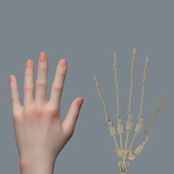 Articulated Finger Joints