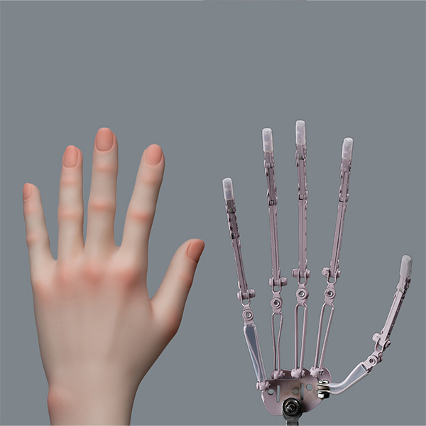 Upgraded Articulated Hand Skeleton